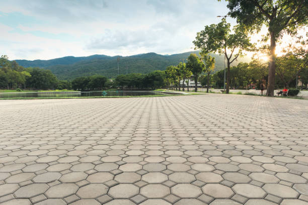 Best Concrete Paver Driveway  in Port Arthur, TX